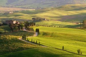 多特蒙德艰难取胜，展望晋级机会