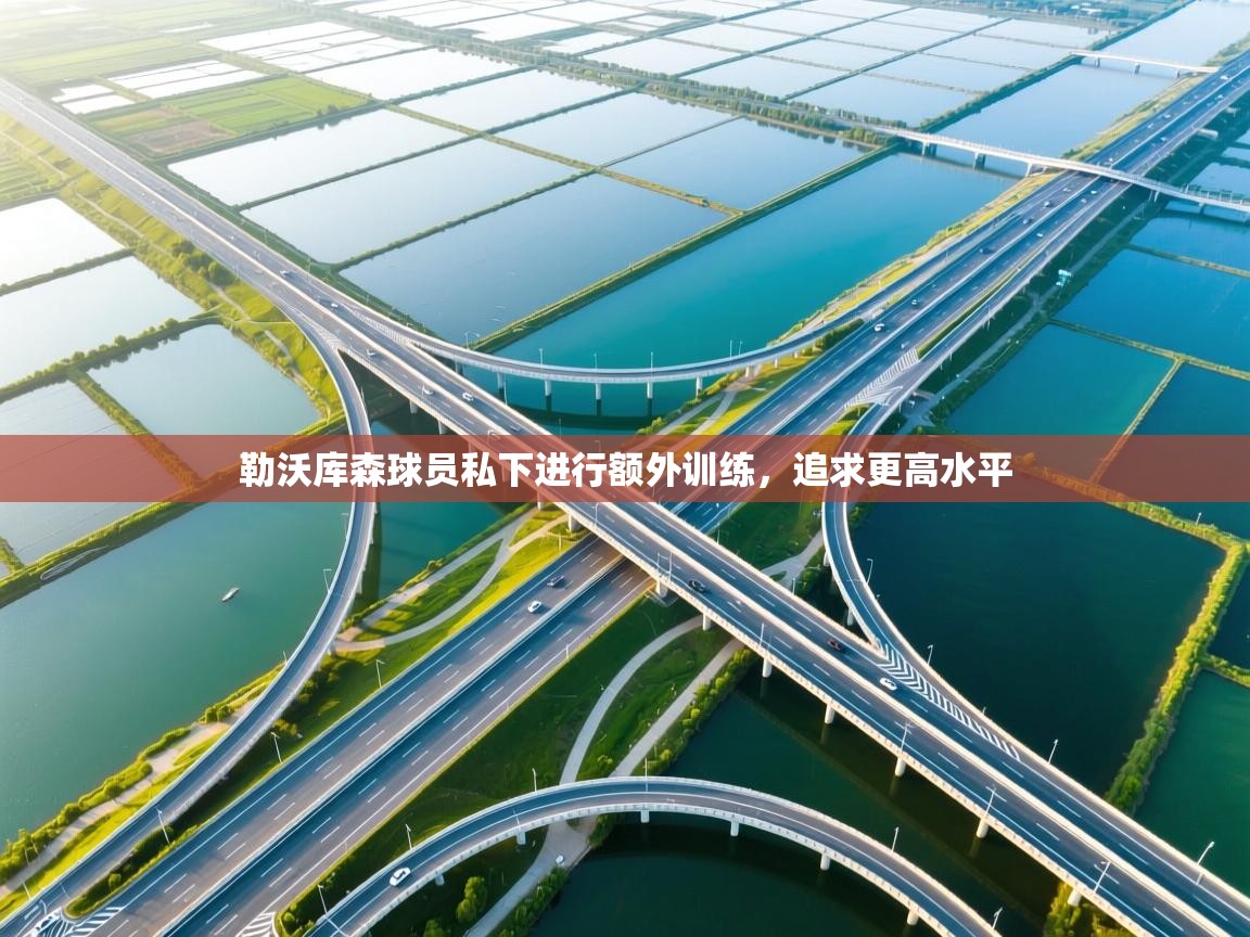 勒沃库森球员私下进行额外训练，追求更高水平  第1张