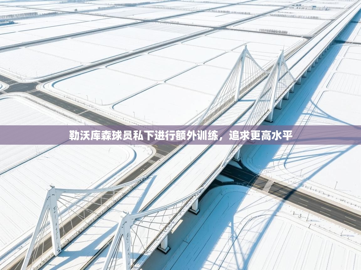 勒沃库森球员私下进行额外训练，追求更高水平  第2张