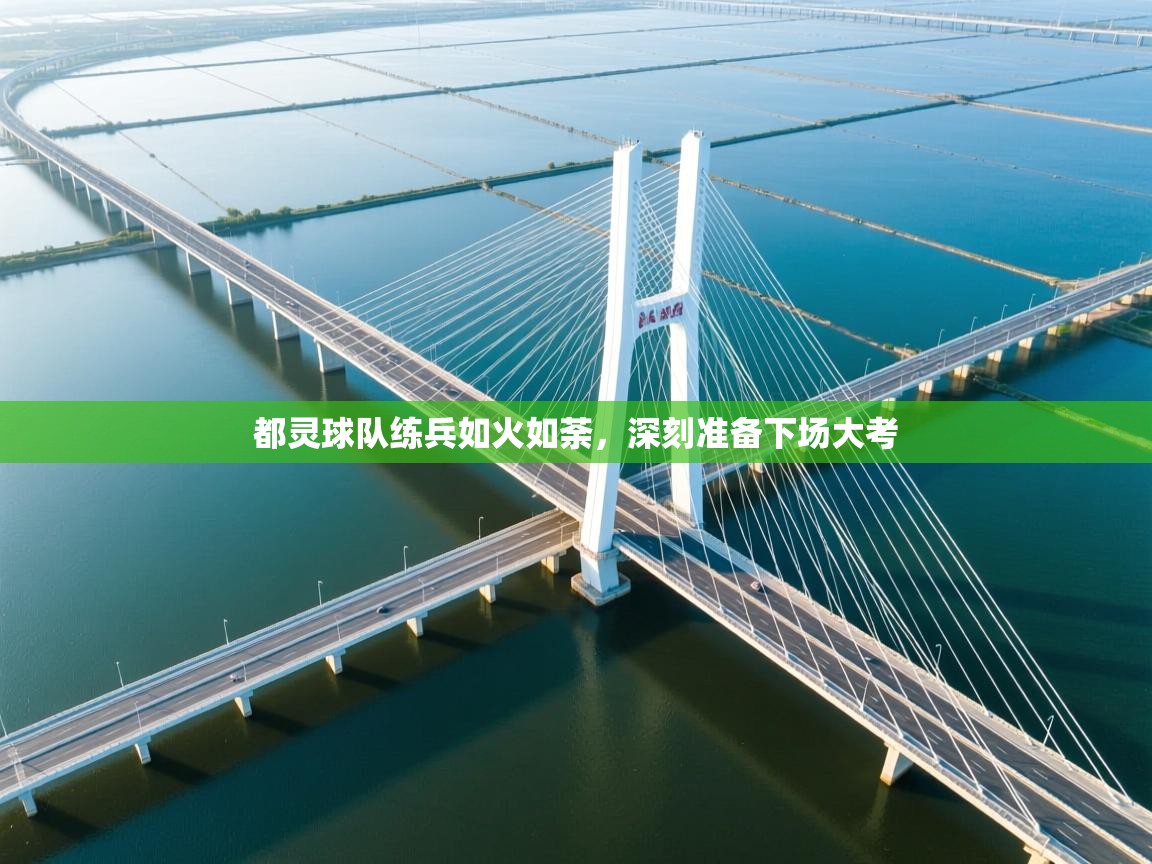 都灵球队练兵如火如荼，深刻准备下场大考  第2张