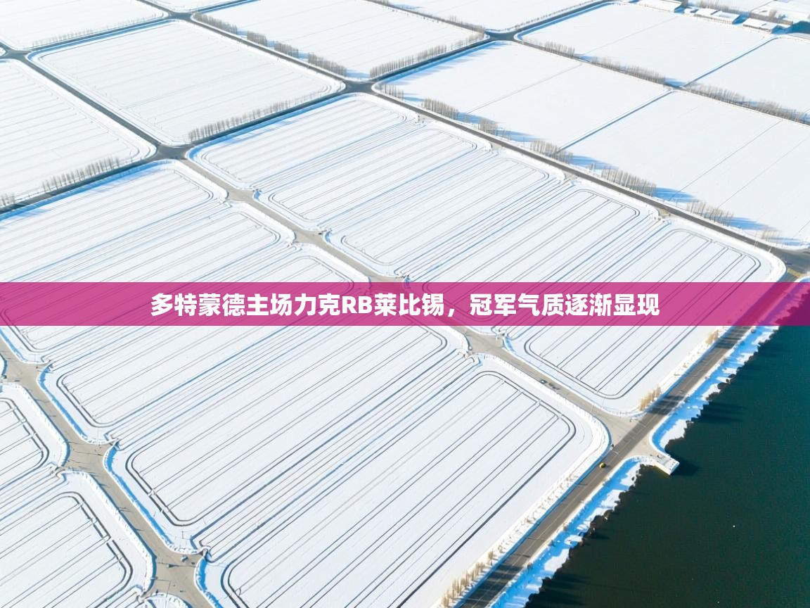 多特蒙德主场力克RB莱比锡，冠军气质逐渐显现