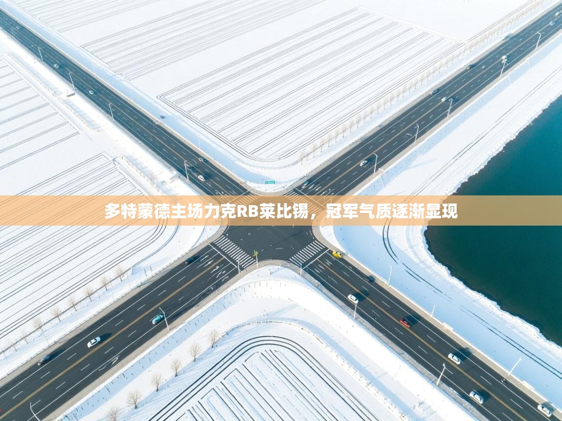 多特蒙德主场力克RB莱比锡,冠军气质逐渐显现 第2张